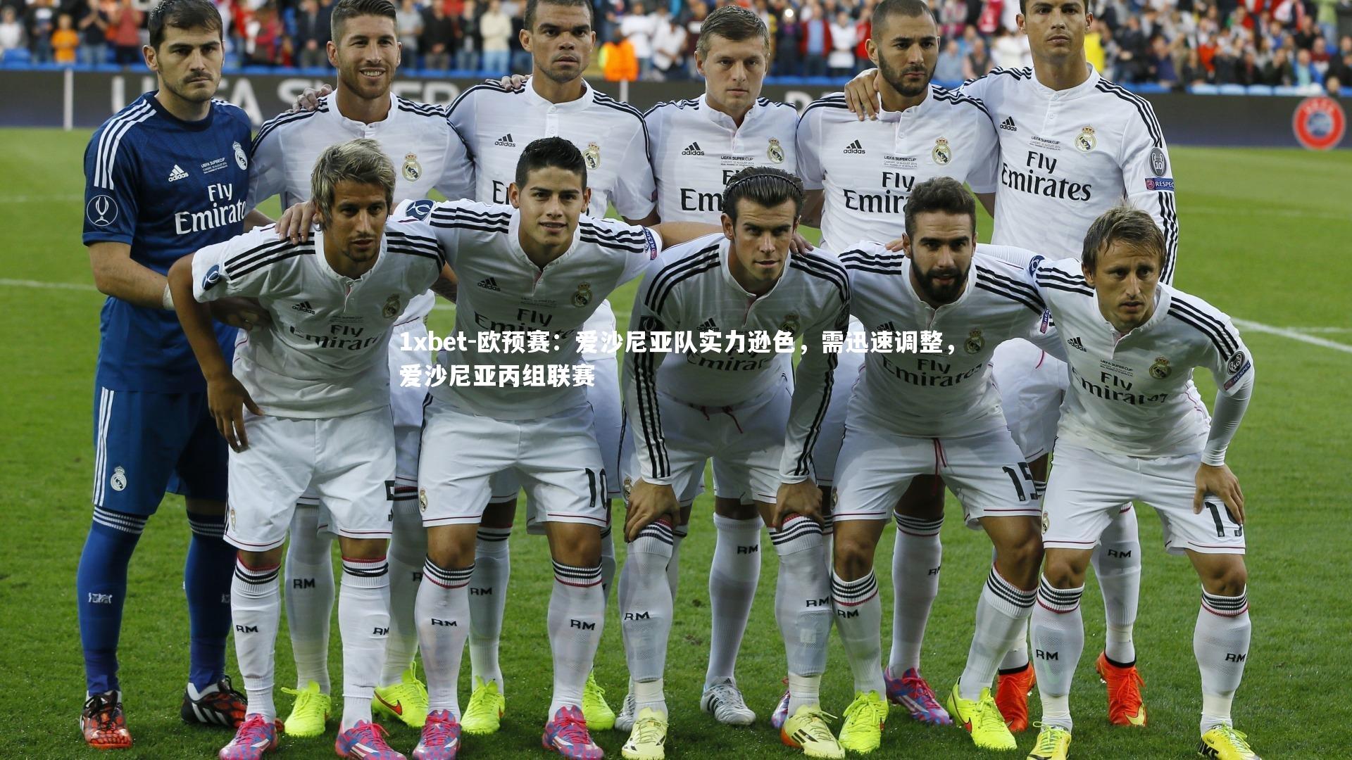 欧预赛：爱沙尼亚队实力逊色，需迅速调整，爱沙尼亚丙组联赛